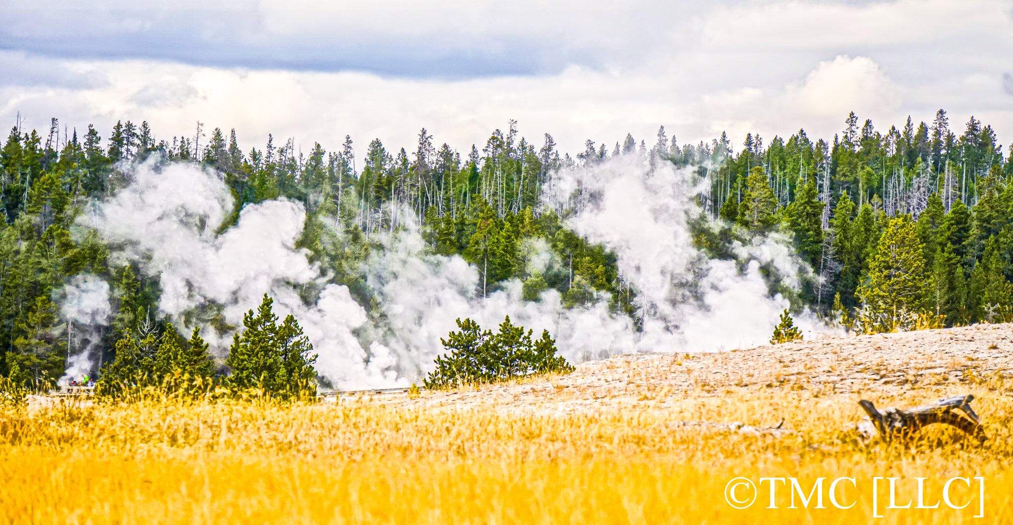"Absolute Steamworks in Yellowstone National Park" [2017]