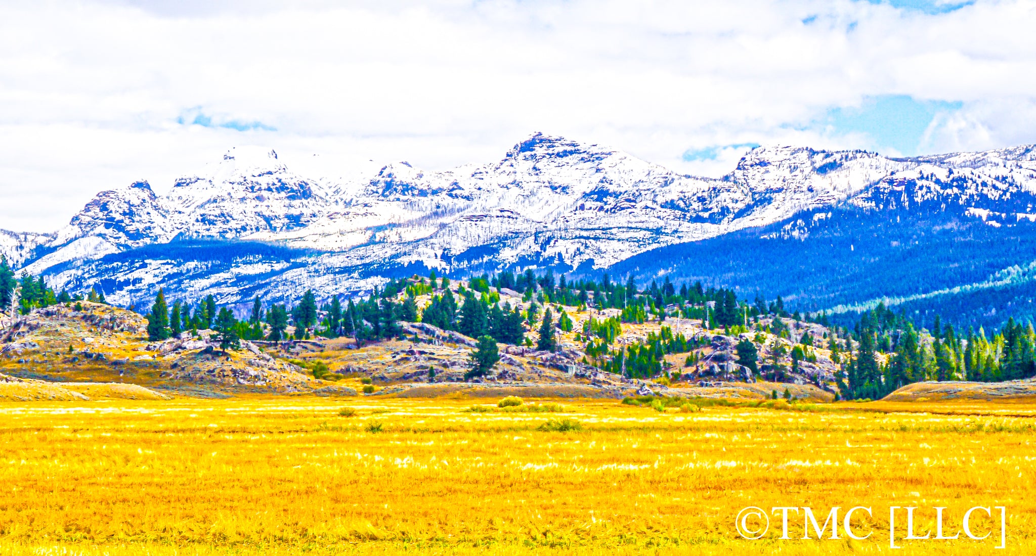 "Yellowstone Prairie Mountainscape" [2/2, 2017]