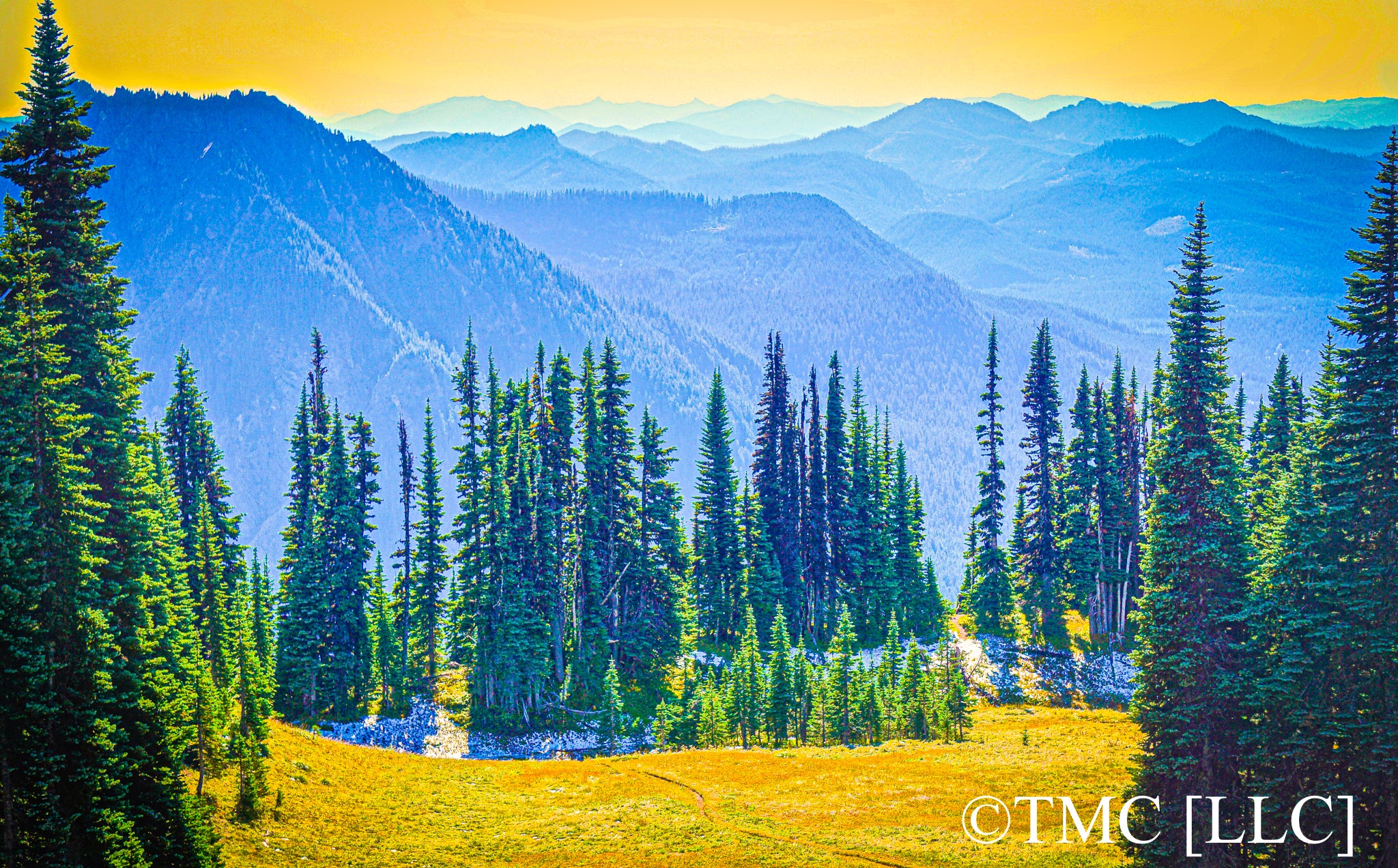 "High-Altitude Meadow & Forest in Mount Rainier National Park" [2017]
