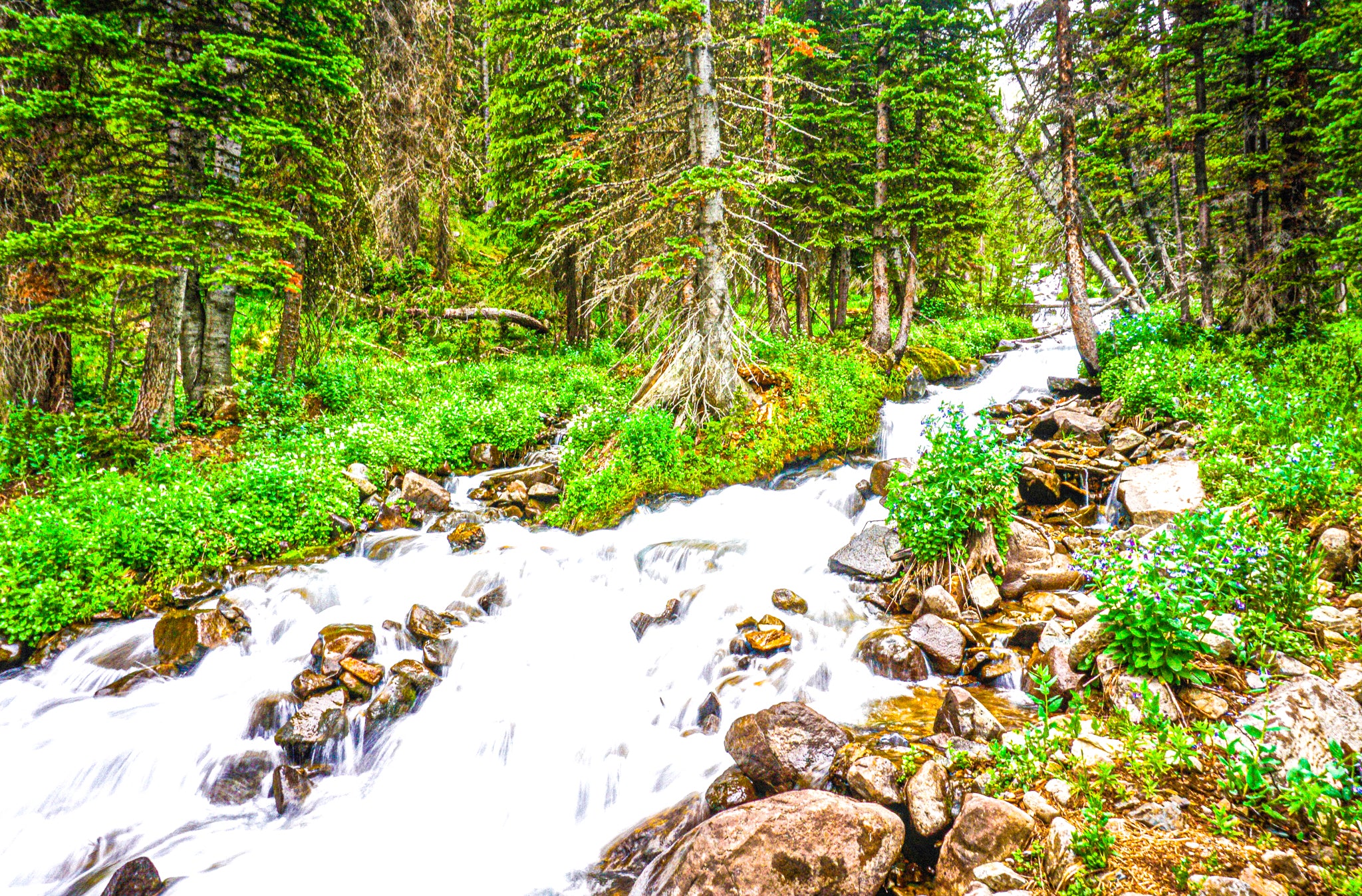 "Visceral Stream Up in Rocky Mountain National Park" [2017]