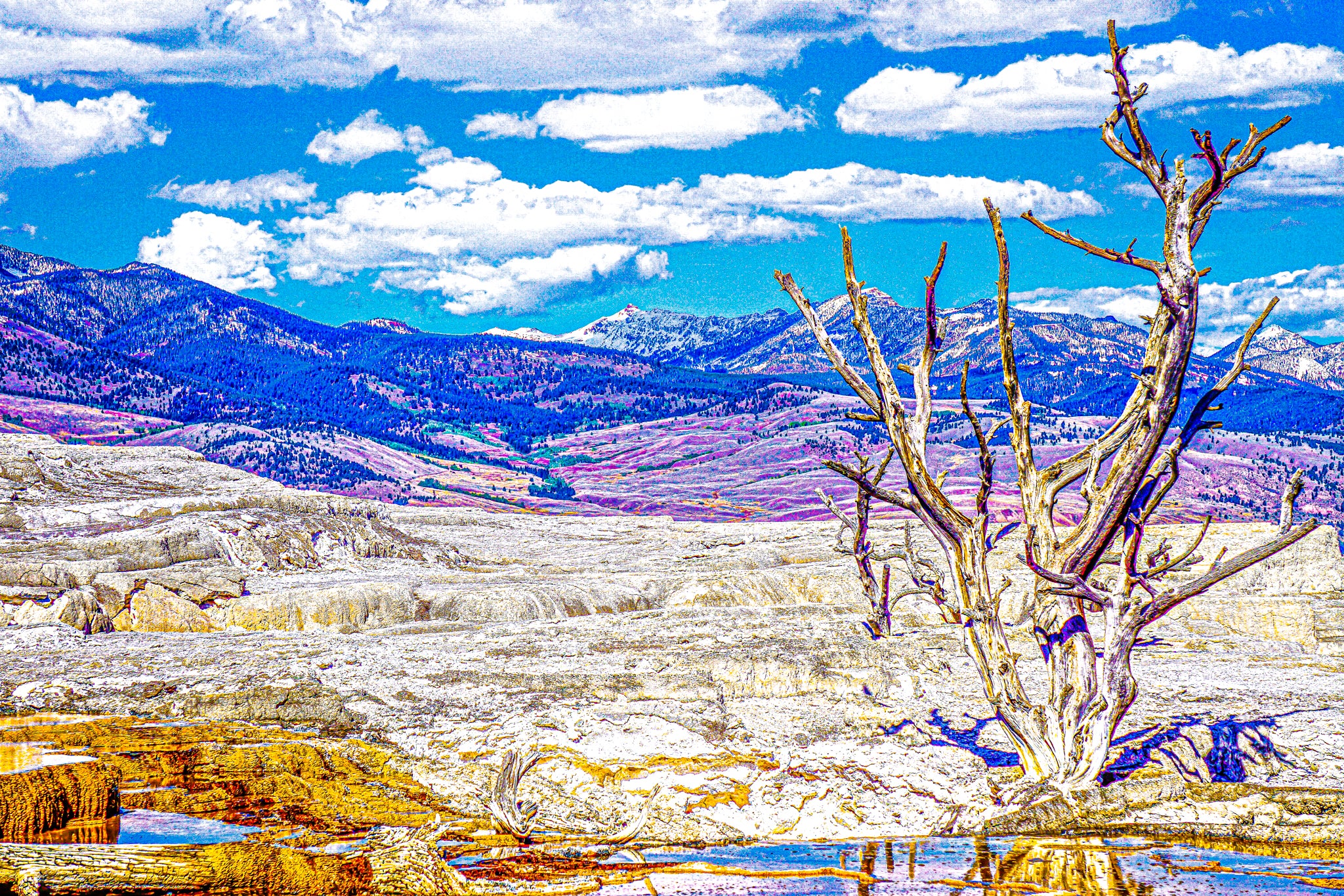 "Geothermal Hot-Springs in Yellowstone National Park" [2017]