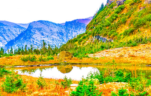 This image showcases balance between brightness and vibrance in the foreground alongside a savvy saturation in the background of contrasting color. Depth is offered in the reflection of both the sky and rock in the pond.